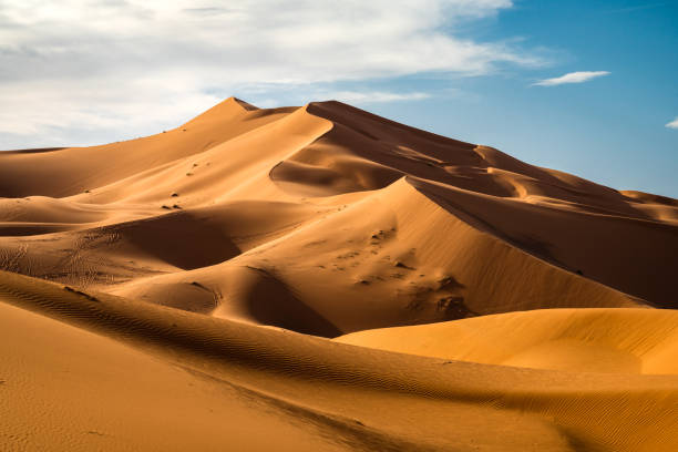 Tour de 8 días desde Casablanca al Desierto del Sahara