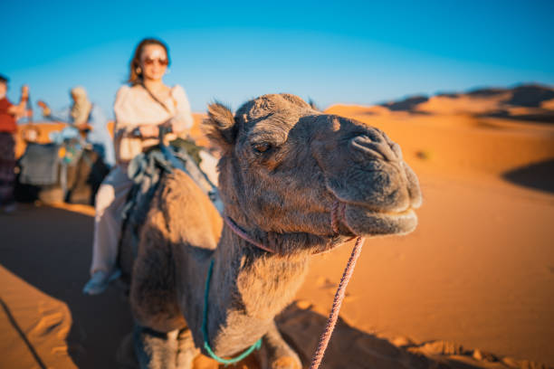 Tour de 4 días desde Casablanca a Merzouga