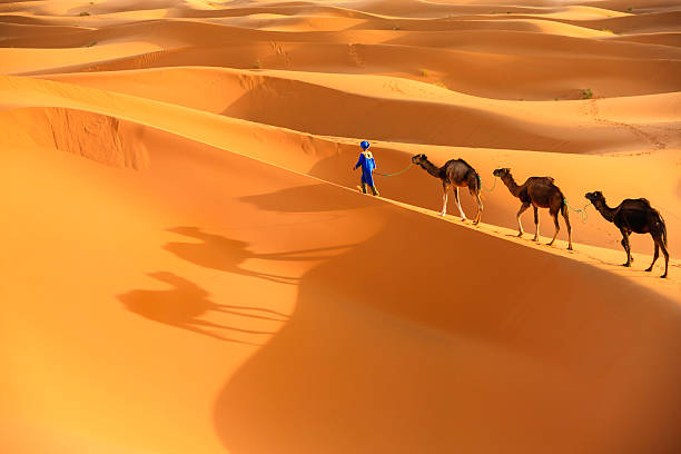 Tour de 3 días de Fez a Marrakech por el desierto