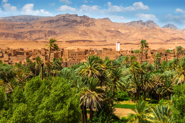 Tour de 5 días desde Fez a Marrakech por el desierto