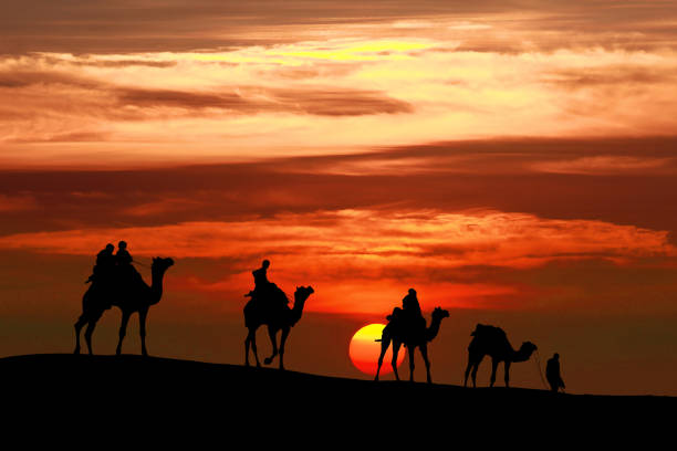 Tour de 3 días desde Marrakech a Fez por el desierto