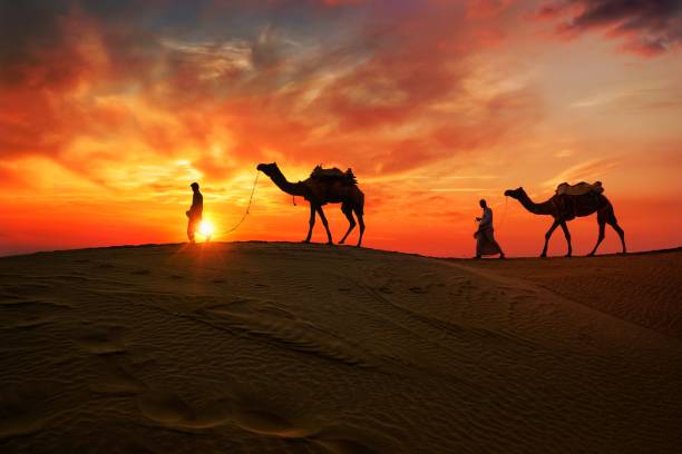 5 días Tour From Marrakech To Fes