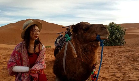 Tour desde Marrakech a Fez